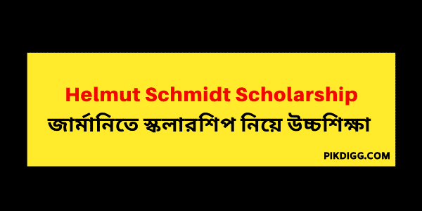 DAAD Helmut Schmidt Programme Scholarship