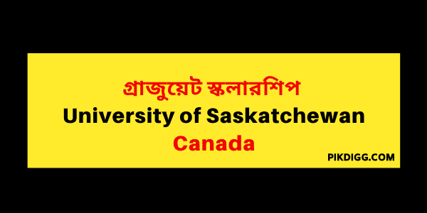 University of saskatchewan phd thesis