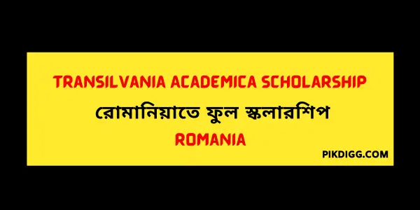 Transilvania Academica Scholarship